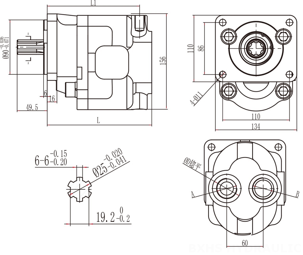 CBHS-F550 50 cc/rev Bomba hidráulica de engranajes drawing image