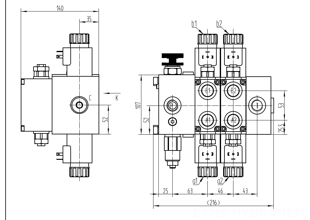 DCV58F Solenoide 2 carretes Válvula direccional seccional drawing image