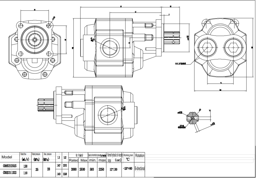 CBHST1-ISO-110 Desplazamiento por revolución Bomba hidráulica de engranajes drawing image