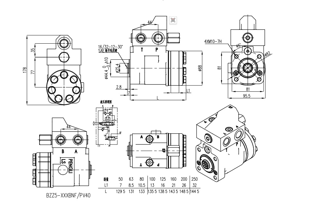 101S-5T-50-PV40 50 ml/r 5 L/min Unidad de Dirección drawing image
