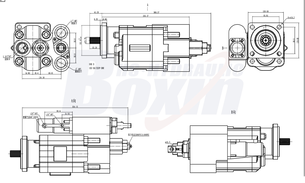 C102 100 cc/rev 20 MPa Bomba hidráulica de engranajes drawing image