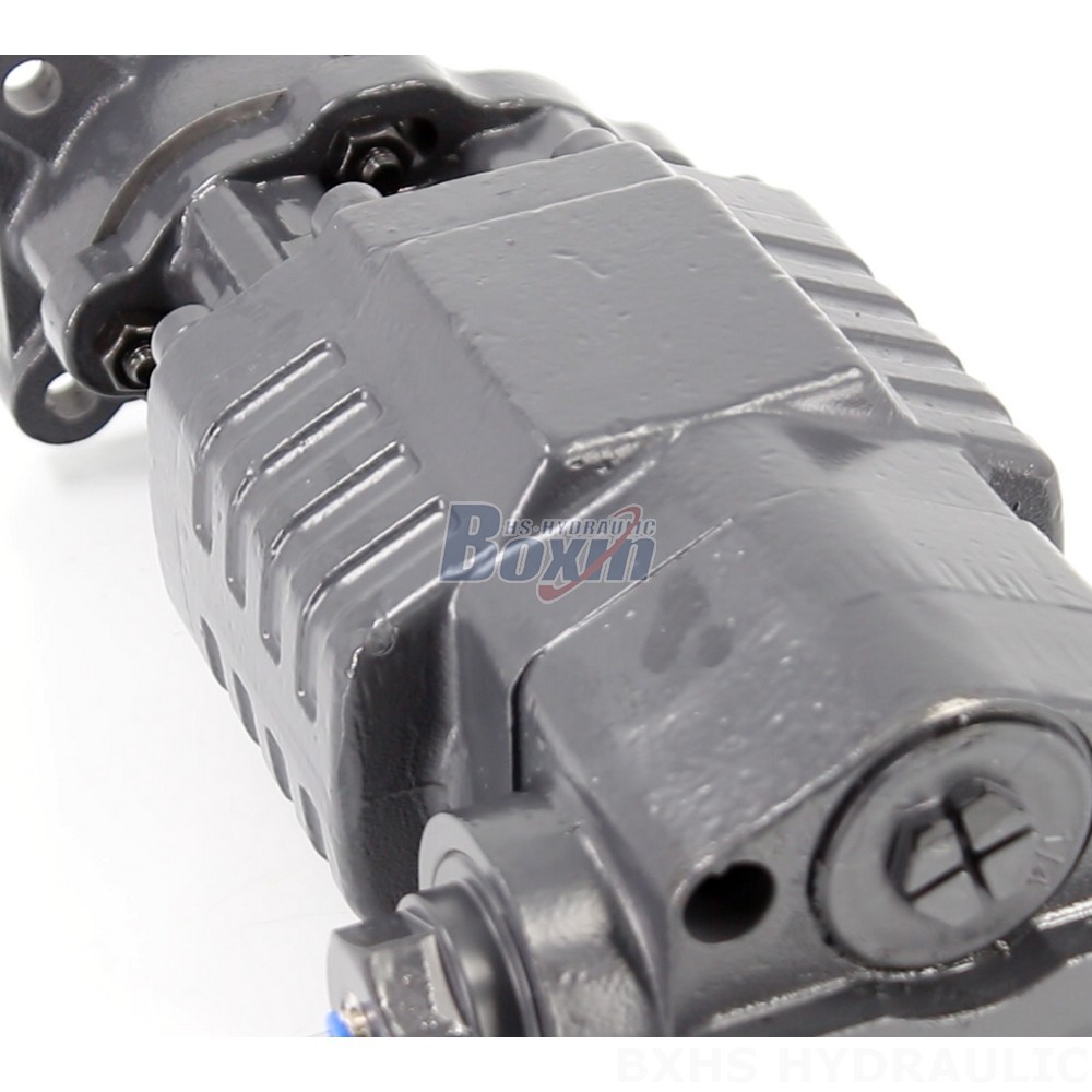 BF110A-ZF1 Hydraulic Gear Pump 20 MPa (2900 psi) for Diverse Needs detail image