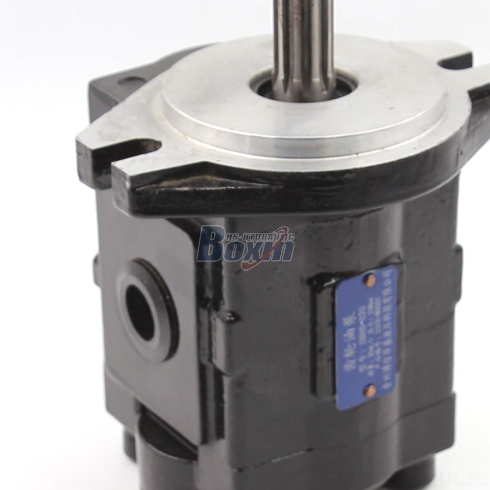 Precision Engineered 20 cc/rev Hydraulic Gear Pump | Manufacturing & Supply detail image