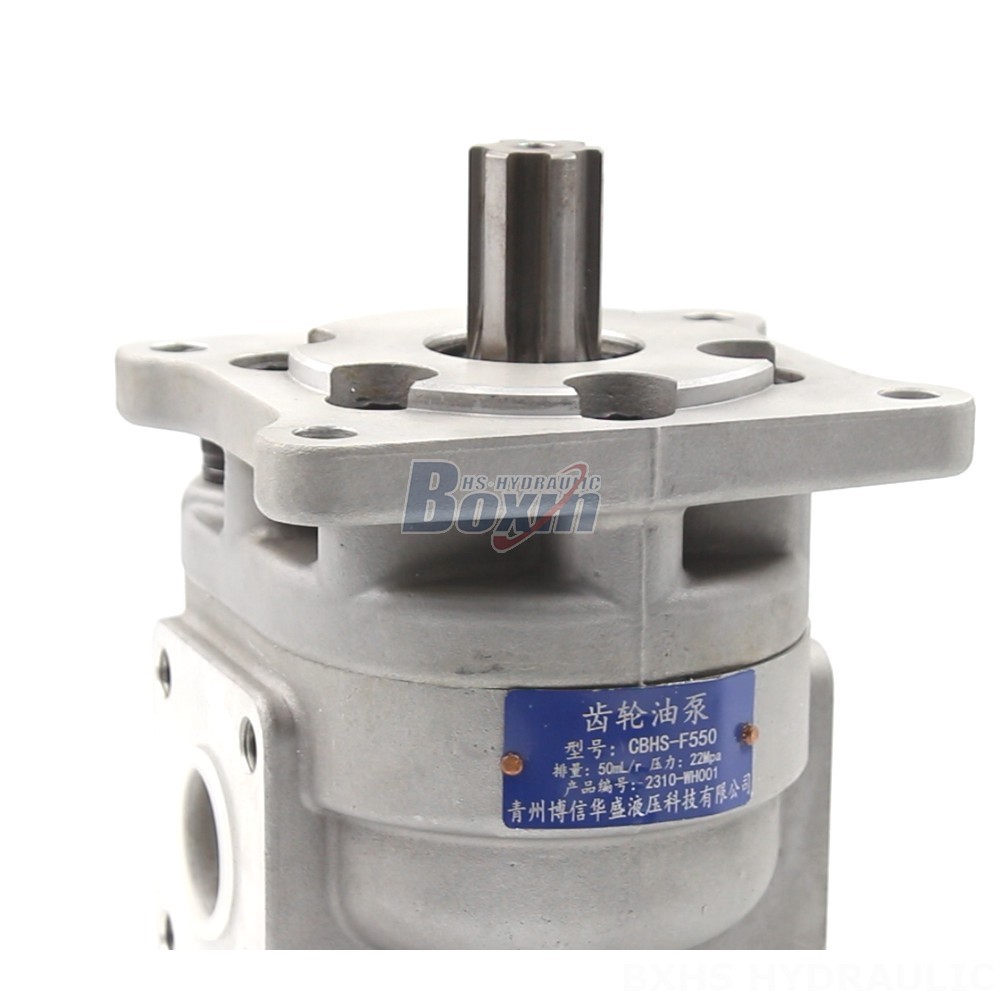 CBHS-F550 Gear Pump OEM/ODM: Tailored Solutions for Your Applications detail image