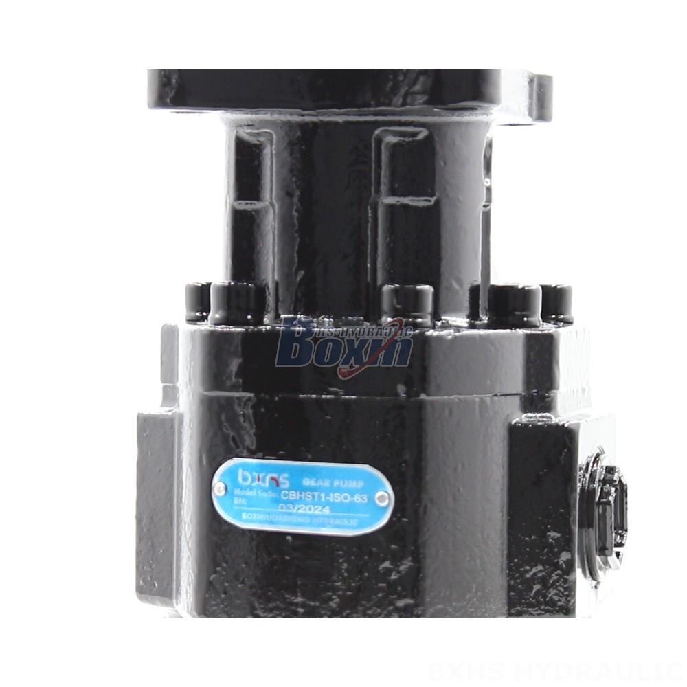 Factory Prices and Exceptional Quality: Choose CBHST1-ISO-63 Pumps Today detail image