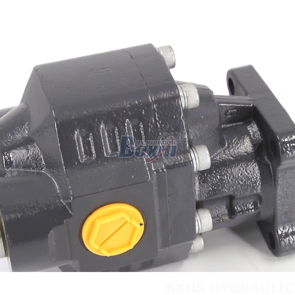 CBHW-ISO-80-H 22 MPa Hydraulic Gear Pump - Manufacturer Direct Supply detail image