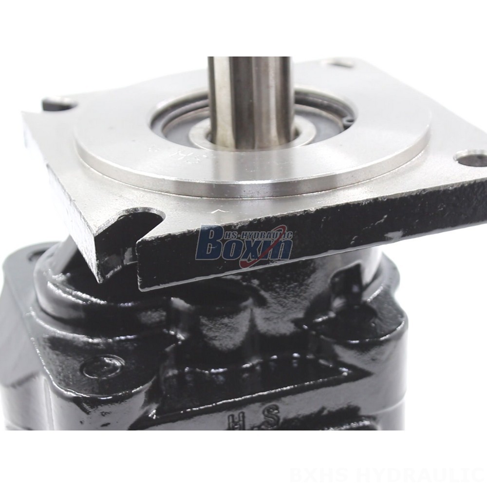 JHP2063 Hydraulic Gear Pump: Distributors & Wholesalers Wanted Globally detail image