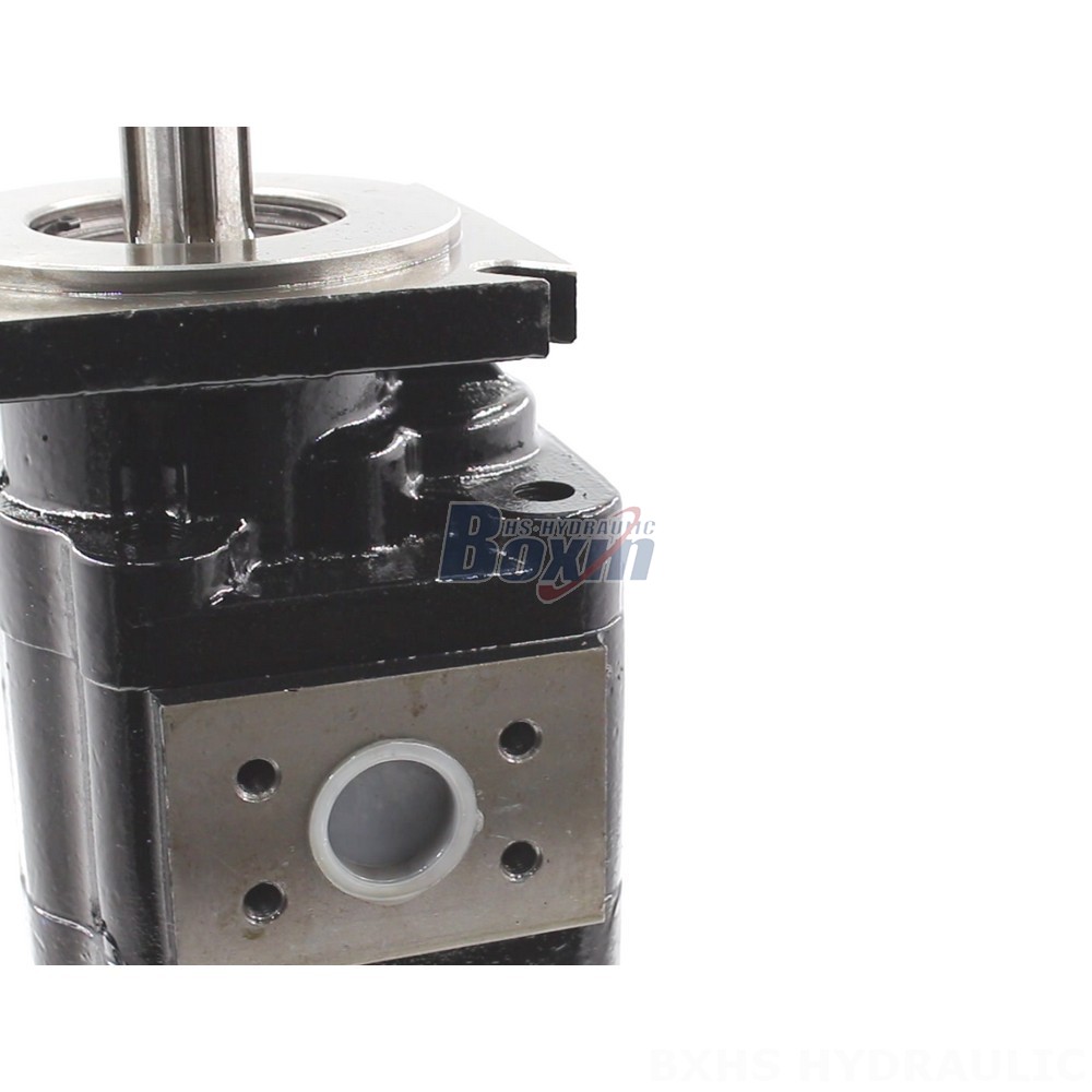 JHP2080-2080 Hydraulic Gear Pump: Distributors & Wholesalers Wanted Globally detail image