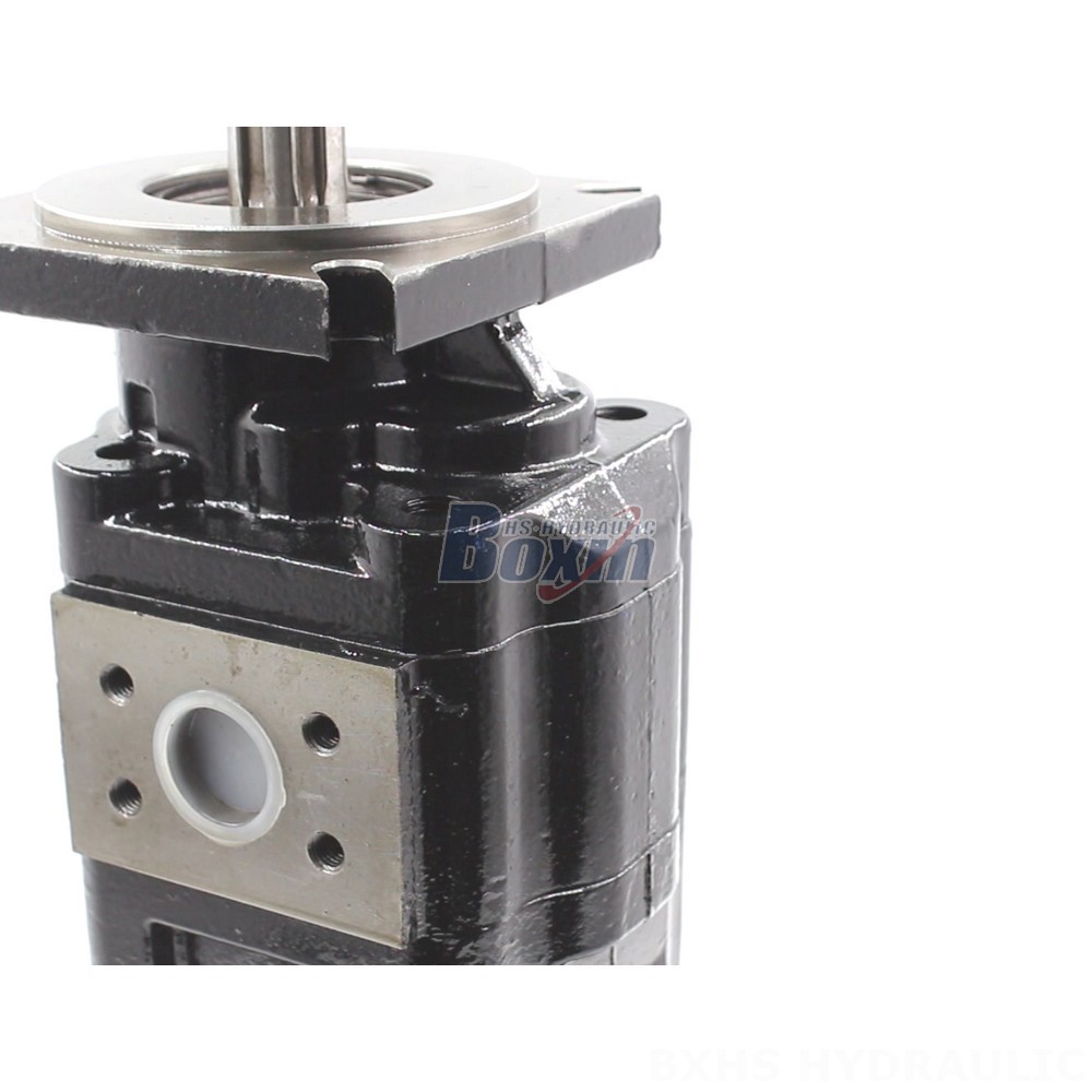 JHP2080-2080 Hydraulic Gear Pump: Distributors & Wholesalers Wanted Globally detail image