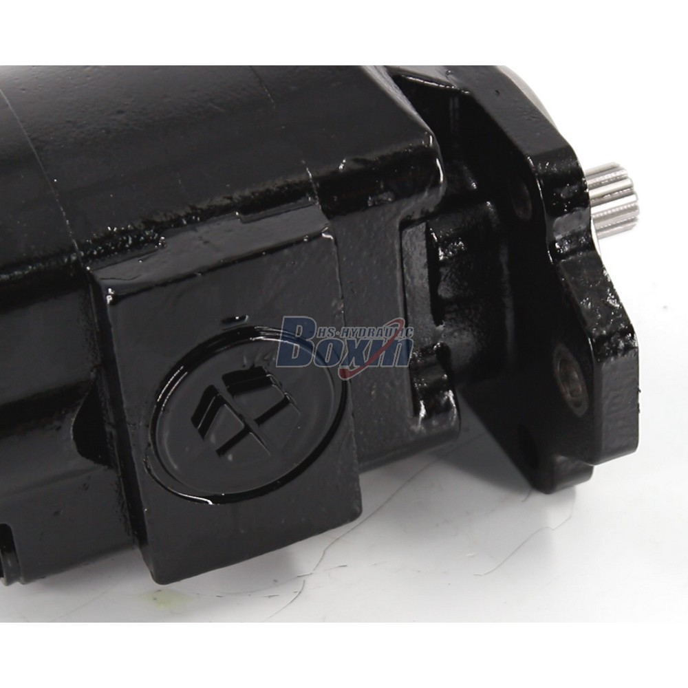 Standard P21A646JEAL20-25 64.6 cc/rev Hydraulic Gear Pump with Quality Assurance detail image