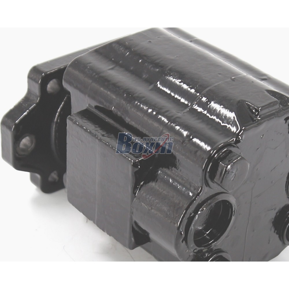 OEM/ODM Services for P51A646TEYR25-25 Custom Hydraulic Gear Pump detail image
