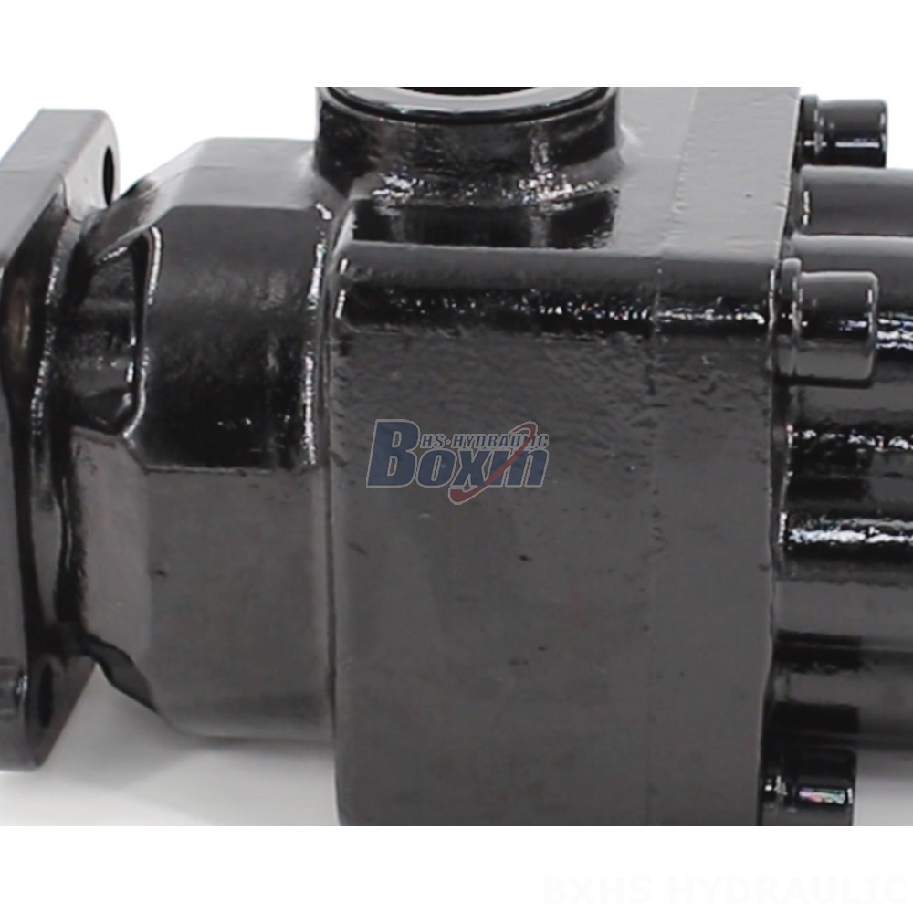 P6-40 40cc/rev Hydraulic Pump: Reliable Performance, Global Distribution detail image