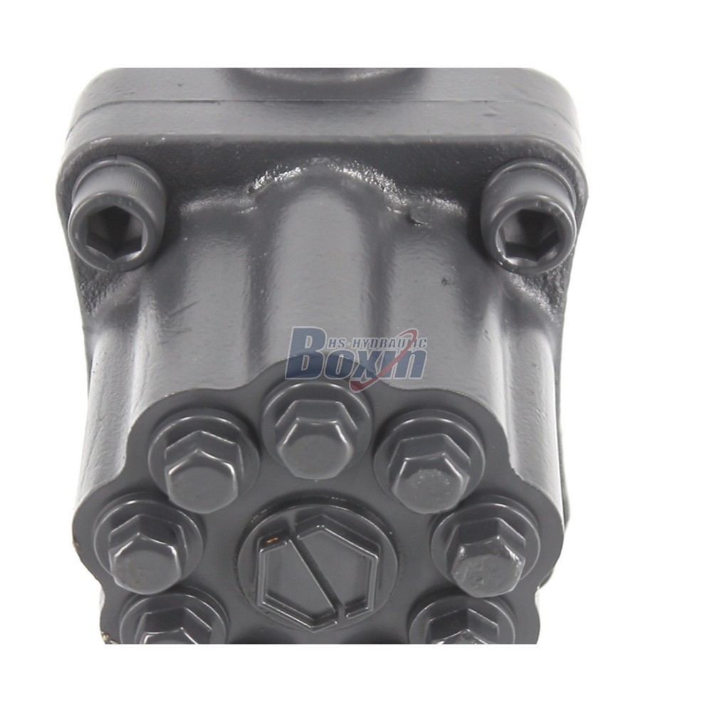 OEM/ODM Custom P9-80SK 80 cc/rev Hydraulic Piston Pump with Private Labeling detail image