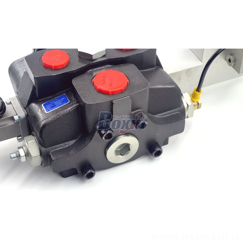 Maximize Efficiency with SD25 Valve | Electro-hydraulic Control & Automation detail image