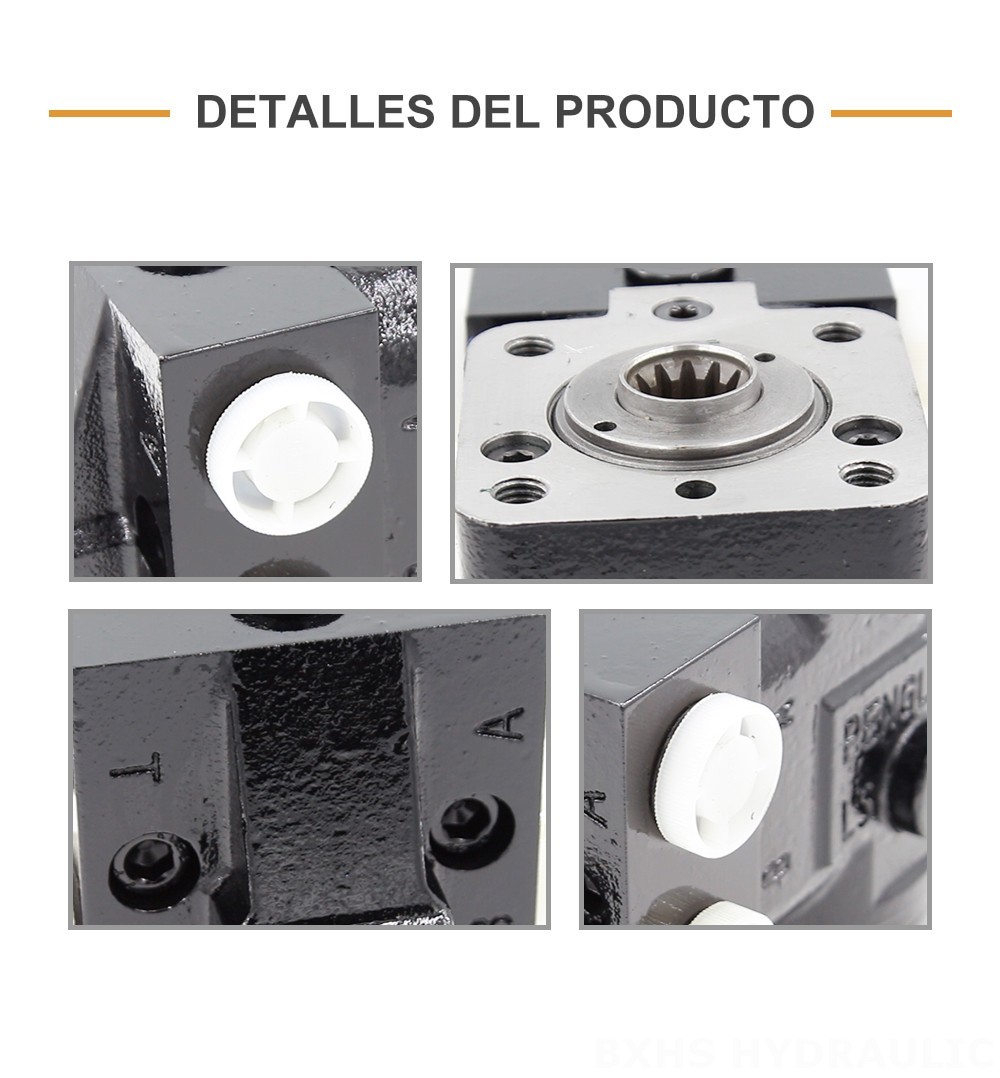 101S-5T-50-PV40 50 ml/r 5 L/min Unidad de dirección