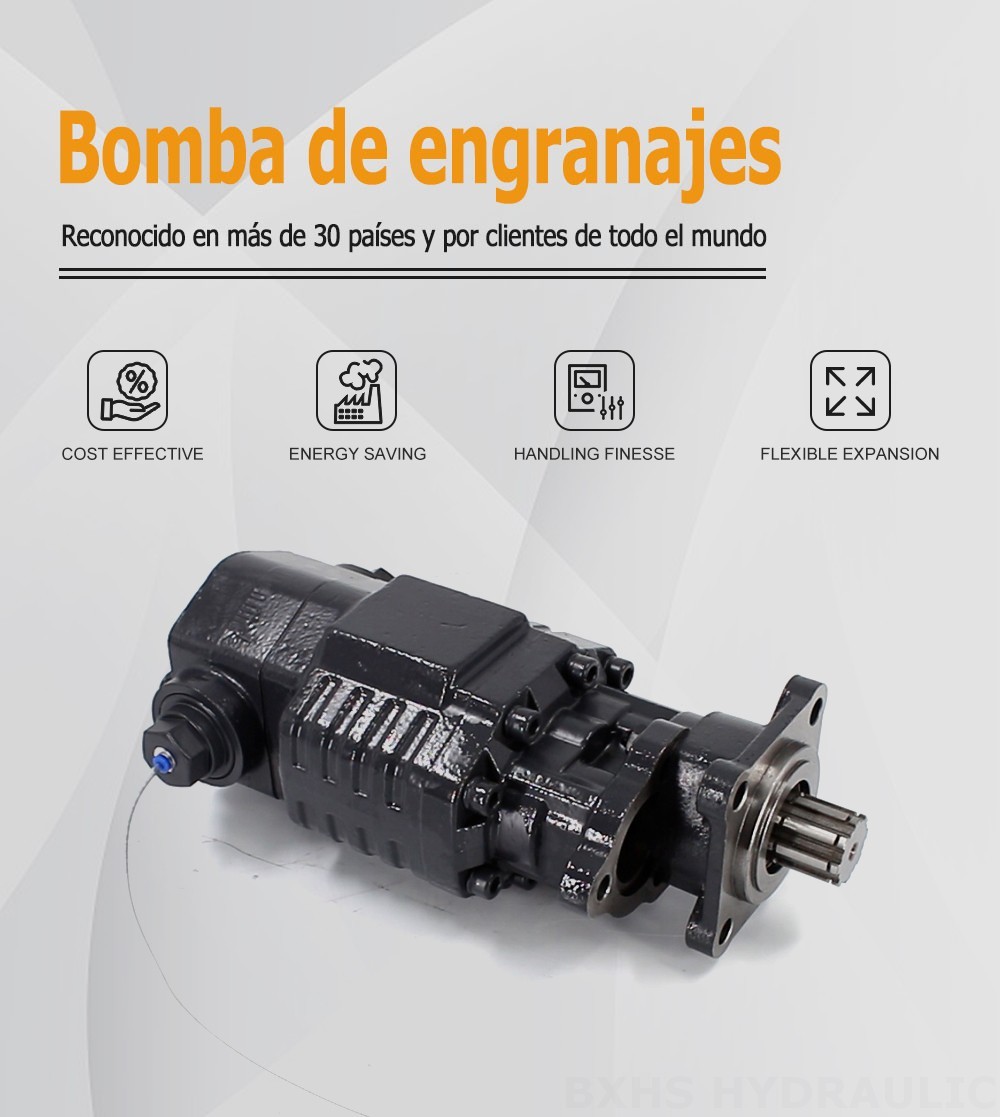 BF110A-ZF1 Desplazamiento por revolución 20 MPa Bomba hidráulica de engranajes