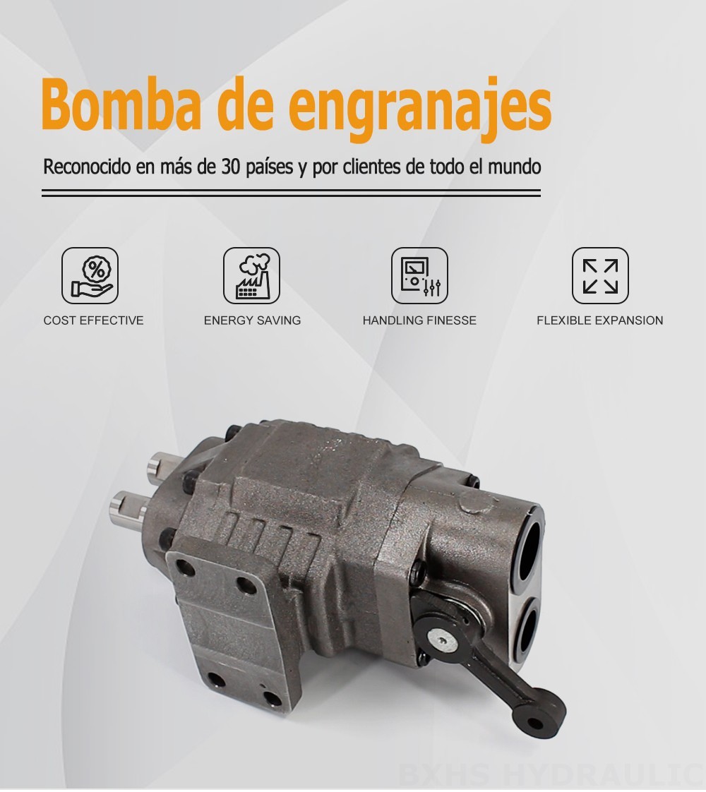 BF110M Desplazamiento por revolución 20 MPa Bomba hidráulica de engranajes