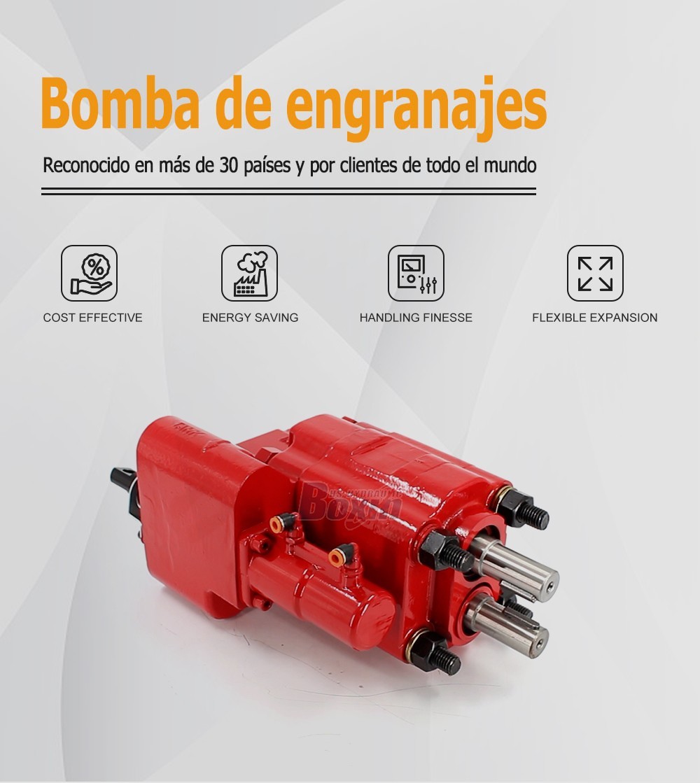 C101-25-AS-H 100 cc/rev Hydraulic Gear Pump for Industrial Machinery