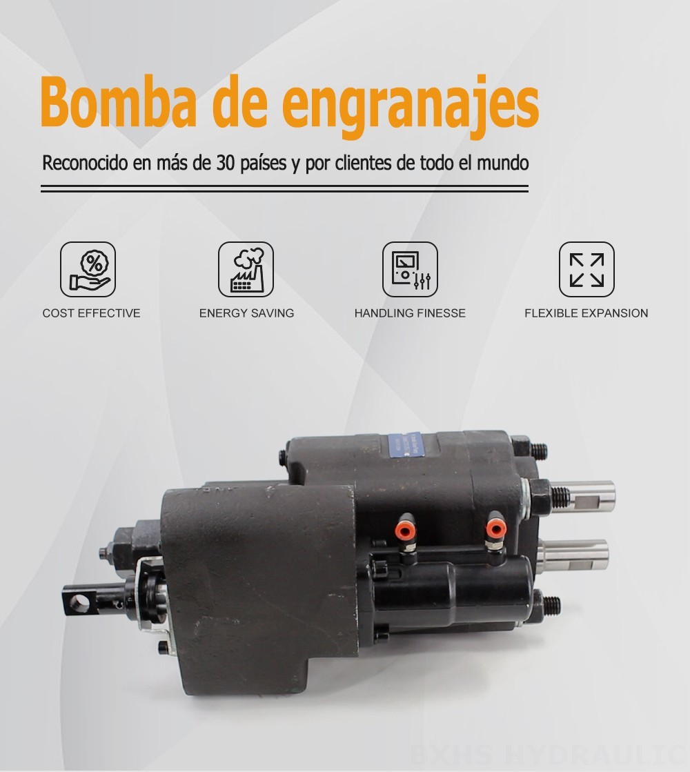 C101-25-LAS Desplazamiento por revolución Bomba hidráulica de engranajes