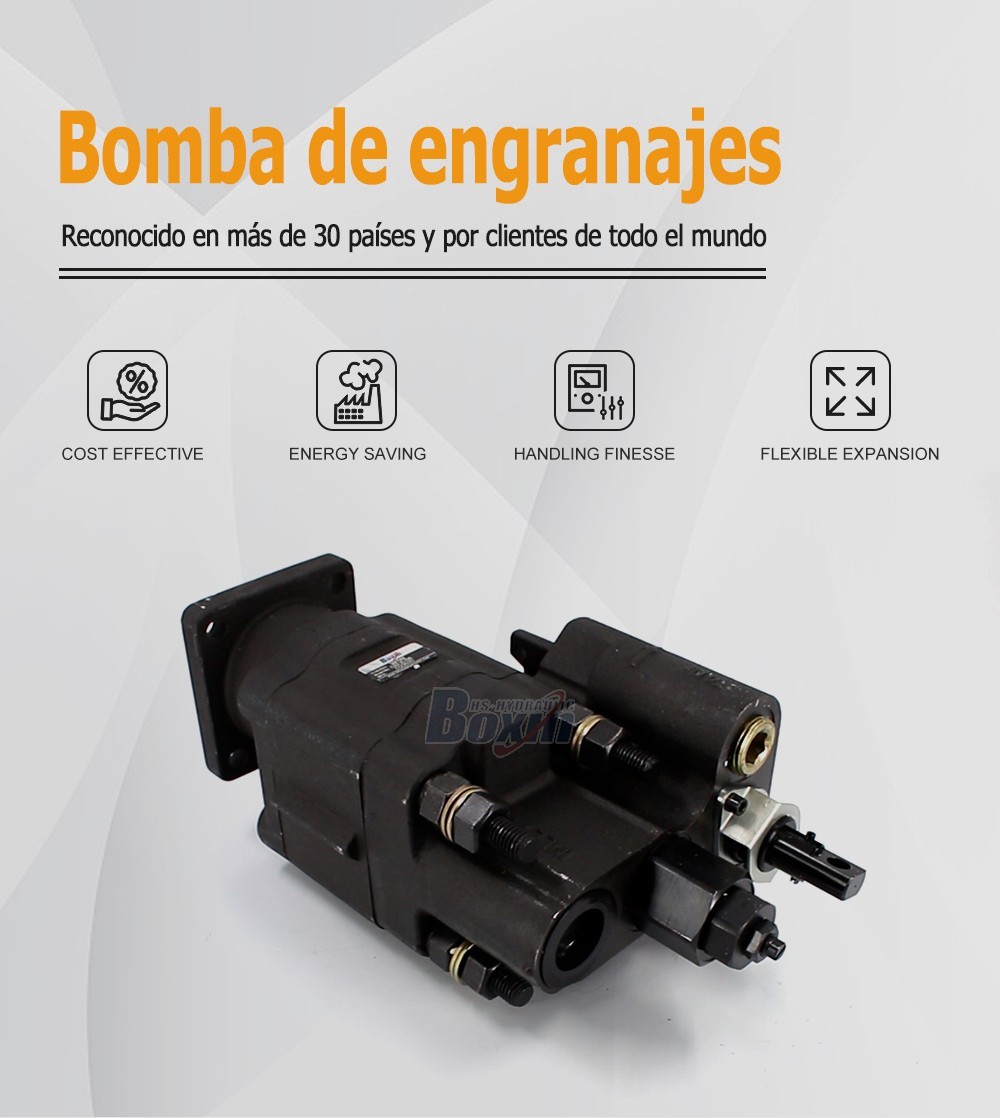 C102-LMS-25 Hydraulic Gear Pump 100 cc/rev for Industrial Equipment