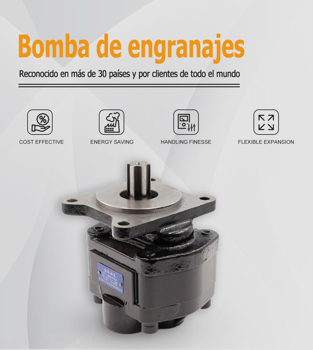 CBHS-F520R Desplazamiento por revolución Bomba hidráulica de engranajes