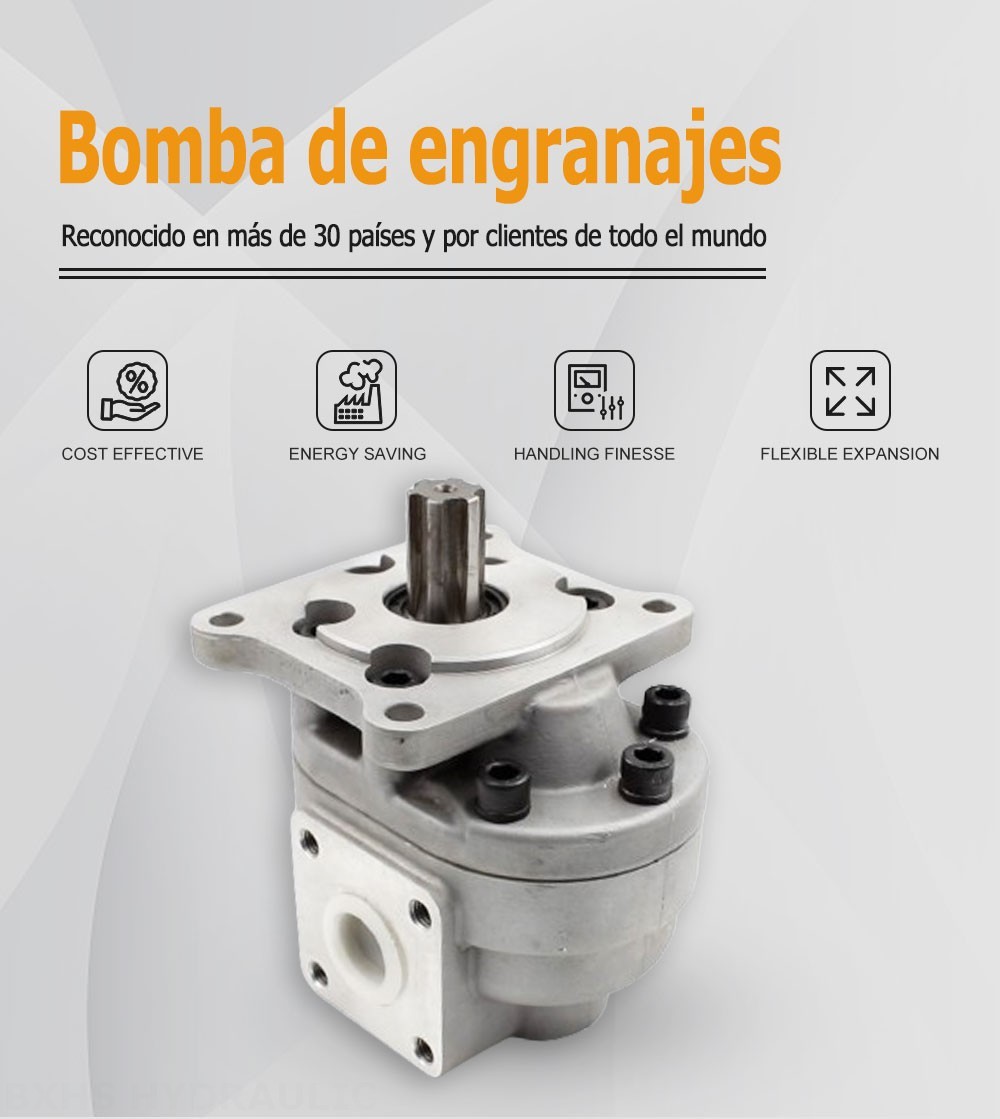 CBHS-F550 50 cc/rev Bomba hidráulica de engranajes