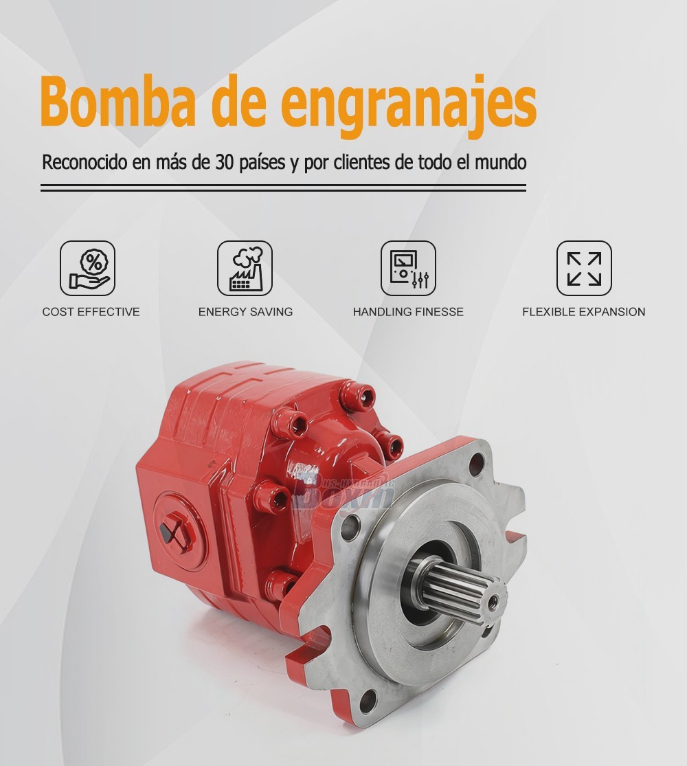 CBHS3100 100 cc/rev Hydraulic Gear Pump Unit Specification
