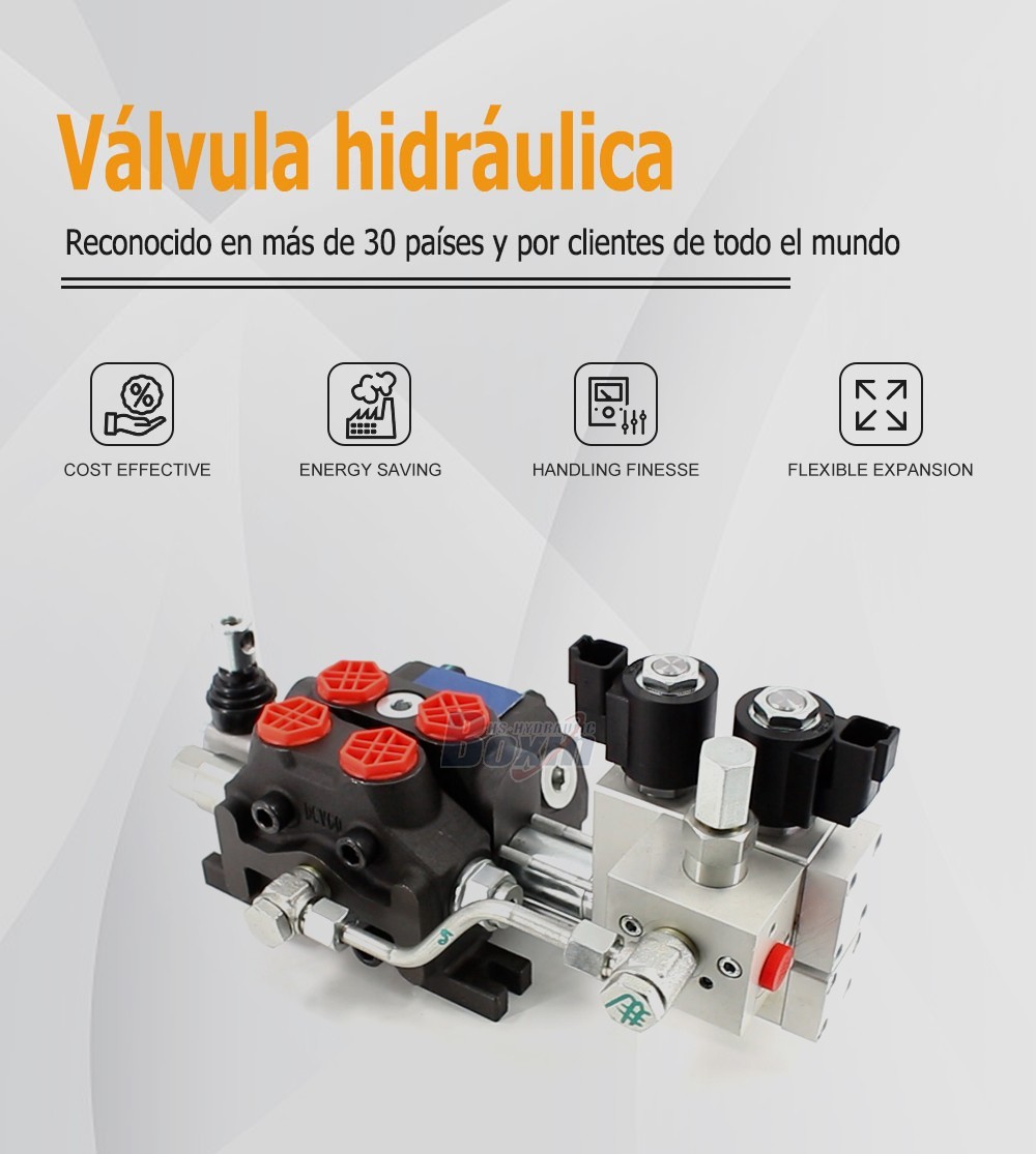 Professional OEM/ODM and Private Label Services for DCV60 Electro-hydraulic Valves