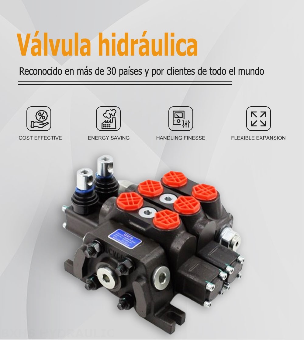 DCV60 Manual 2 carretes Válvula direccional seccional