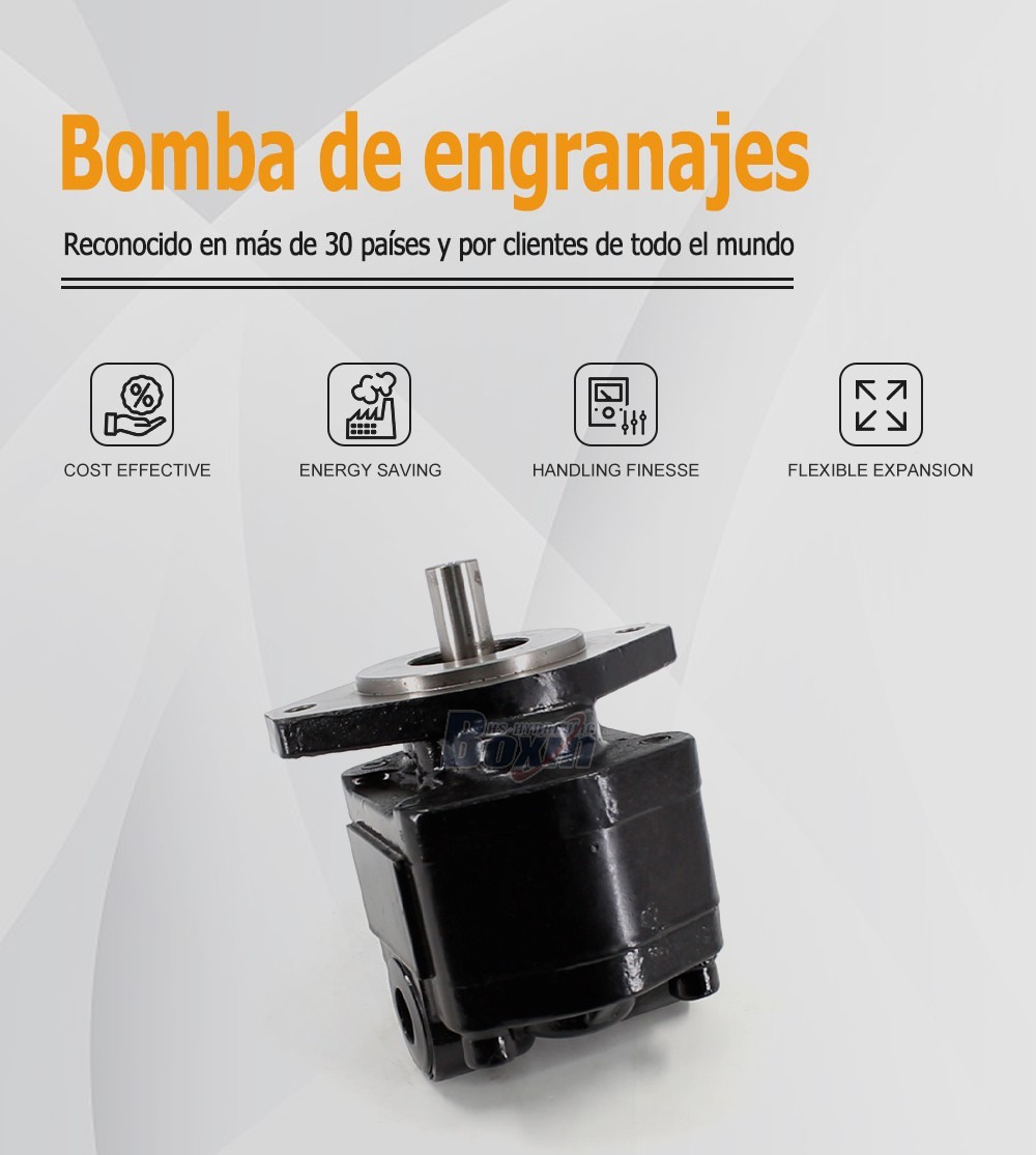 High Performance CBHS-FC25 Hydraulic External Gear Pump 25cc