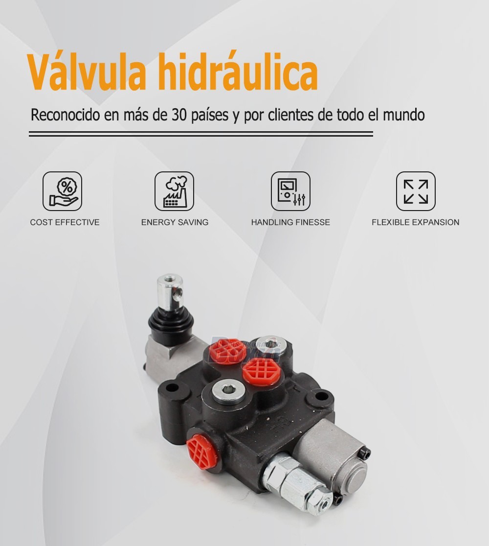 HS45 Manual Monoblock Valve 1 Spool with Relief Valve Integration