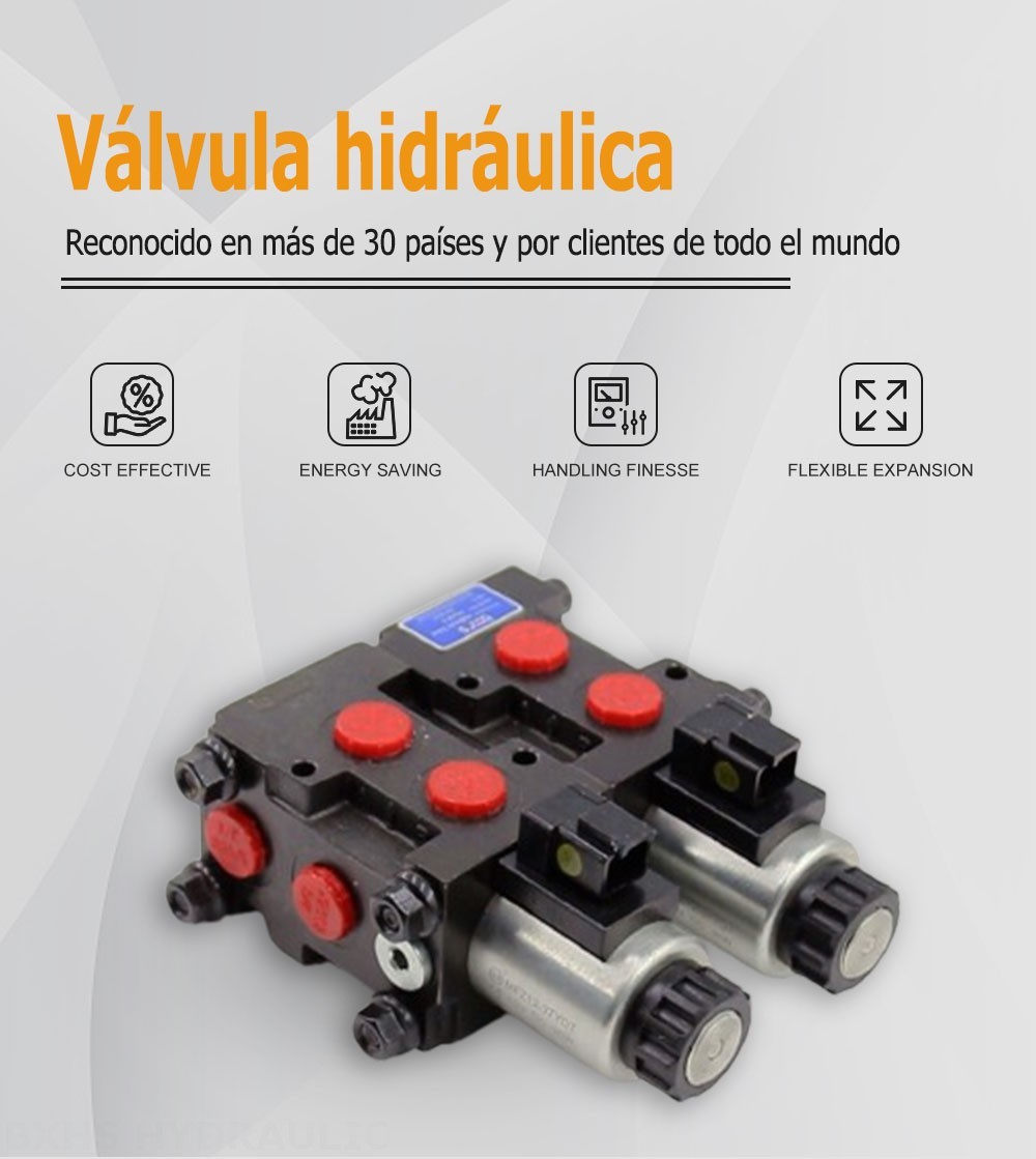 HSV06 Solenoide 2 carretes Válvula desviadora de flujo