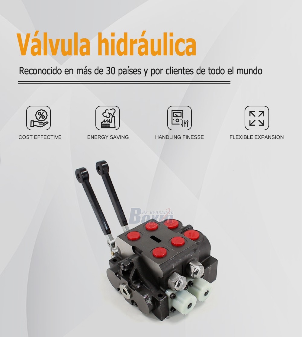 Sectional Control Valve HSV20 Series Manual 2 Spool Design