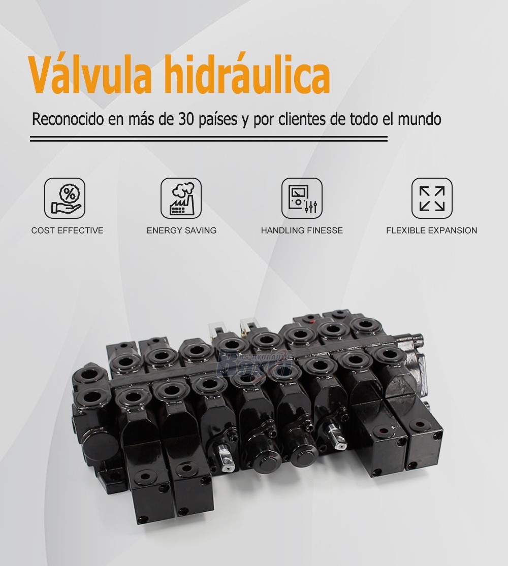 HSW50 Series 8 Spool Monoblock Control Valve for Hydraulic Systems