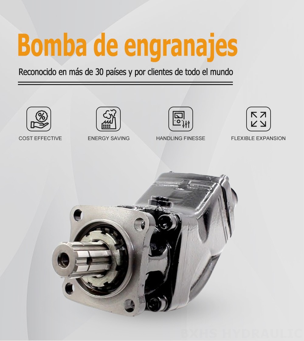 LB-63 63 cc/rev Bomba de pistón hidráulico