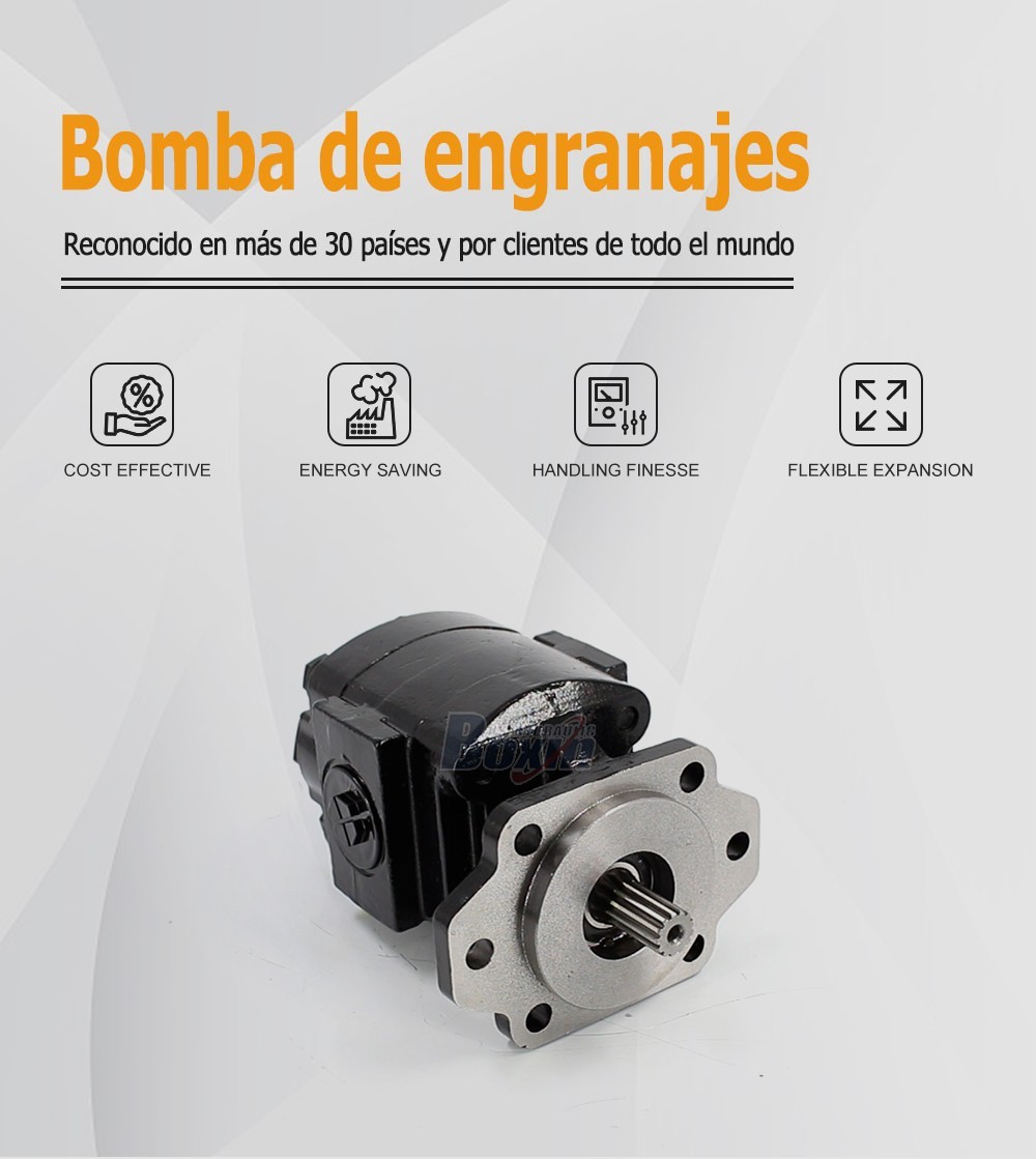 P21A646JEAL20-25 64.6 cc/rev Hydraulic Gear Pump for Industrial Machinery
