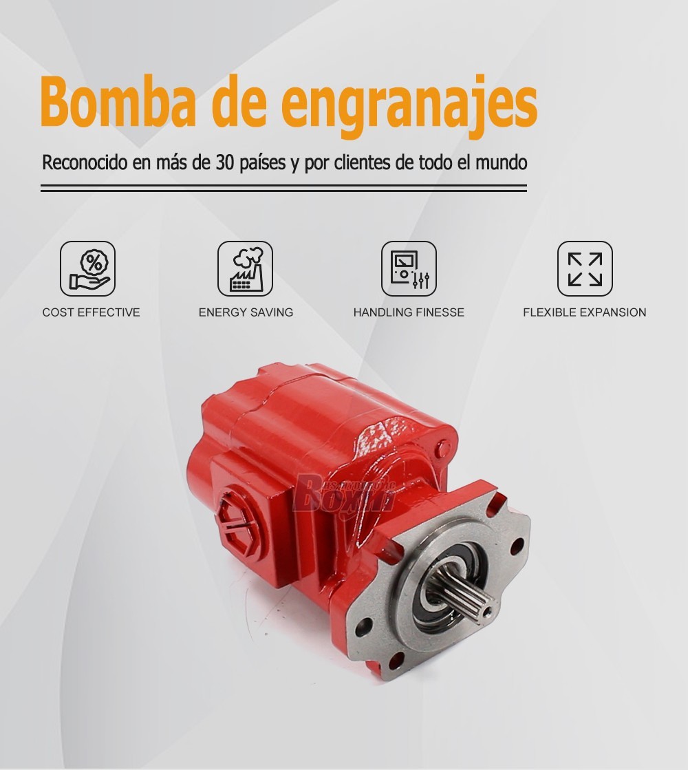 Custom OEM/ODM Service for P51A646TEYR25-25-H 104.5 cc/rev Hydraulic Gear Pump with Private Labeling