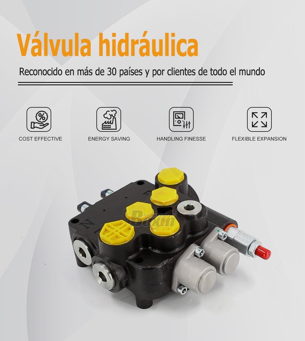 Direct Factory Wholesale P80A-G-BT-OT 2 Spool Control Valve