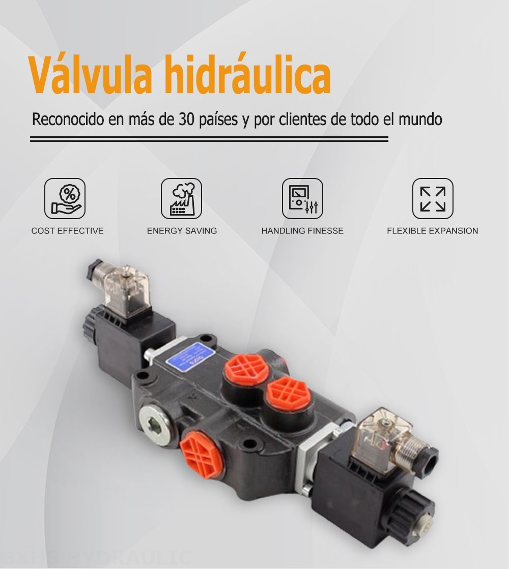 P80 Solenoide 1 carrete Válvula direccional monobloque