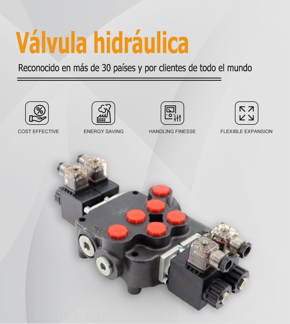 P80 Solenoide 2 carretes Válvula direccional monobloque