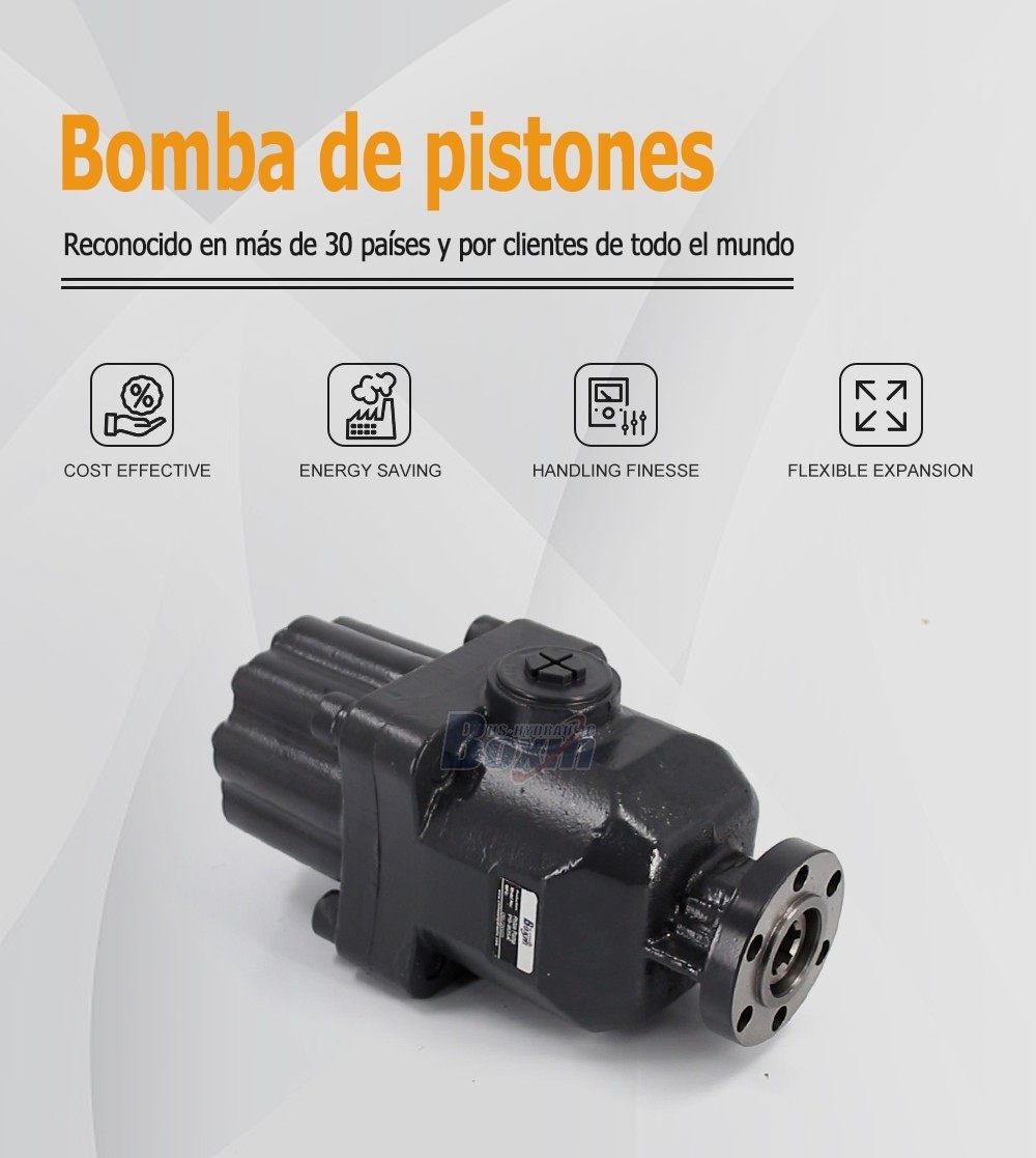 OEM/ODM Custom P9-80SK 80 cc/rev Hydraulic Piston Pump with Private Labeling