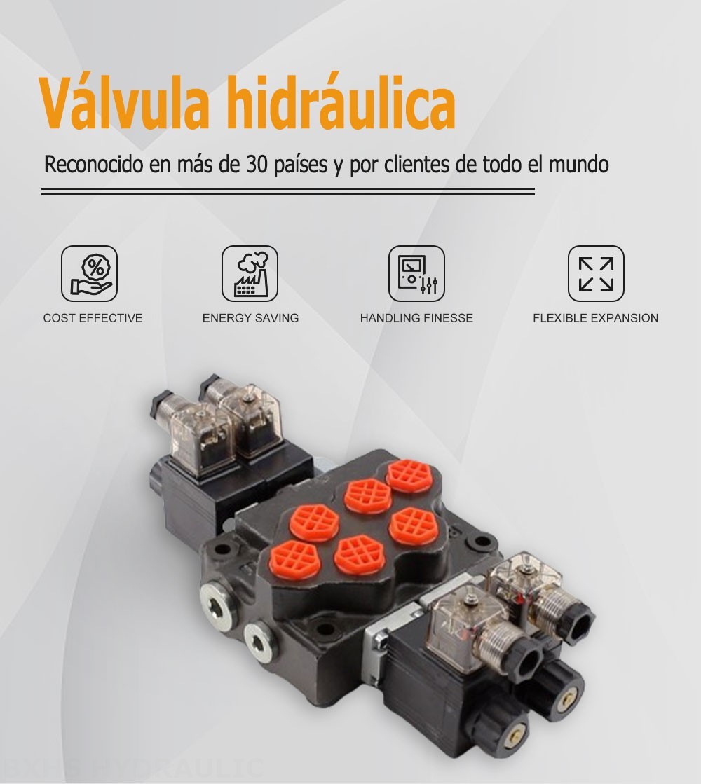 SD5 Solenoide 2 carretes Válvula direccional monobloque