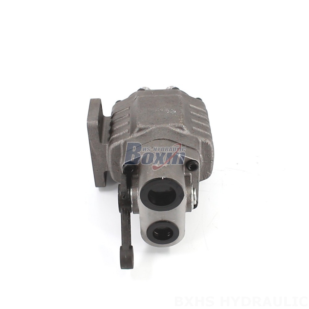 Direct from Manufacturer: BF110M 2900 psi Hydraulic Gear Pump cover photo