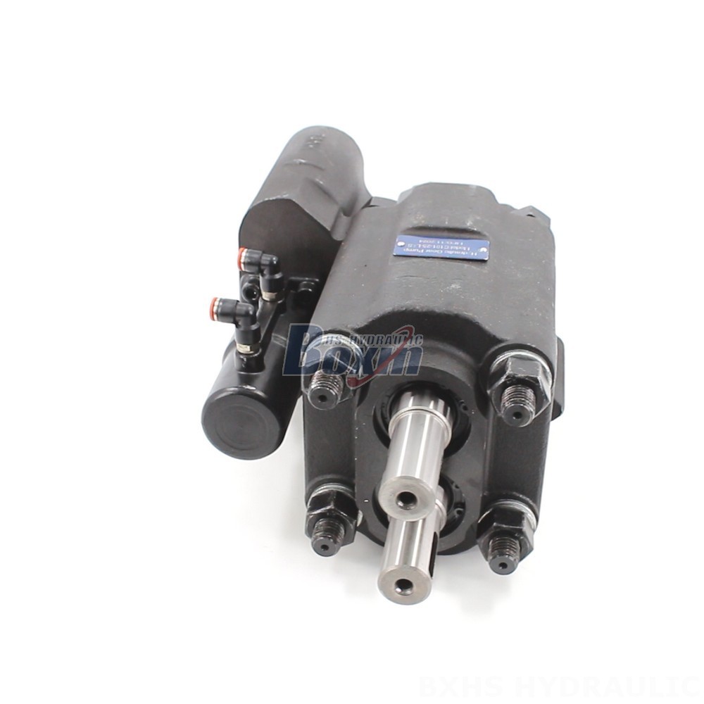 C101-25-LAS Hydraulic Gear Pump: OEM & ODM Services Available - Customization Options main image