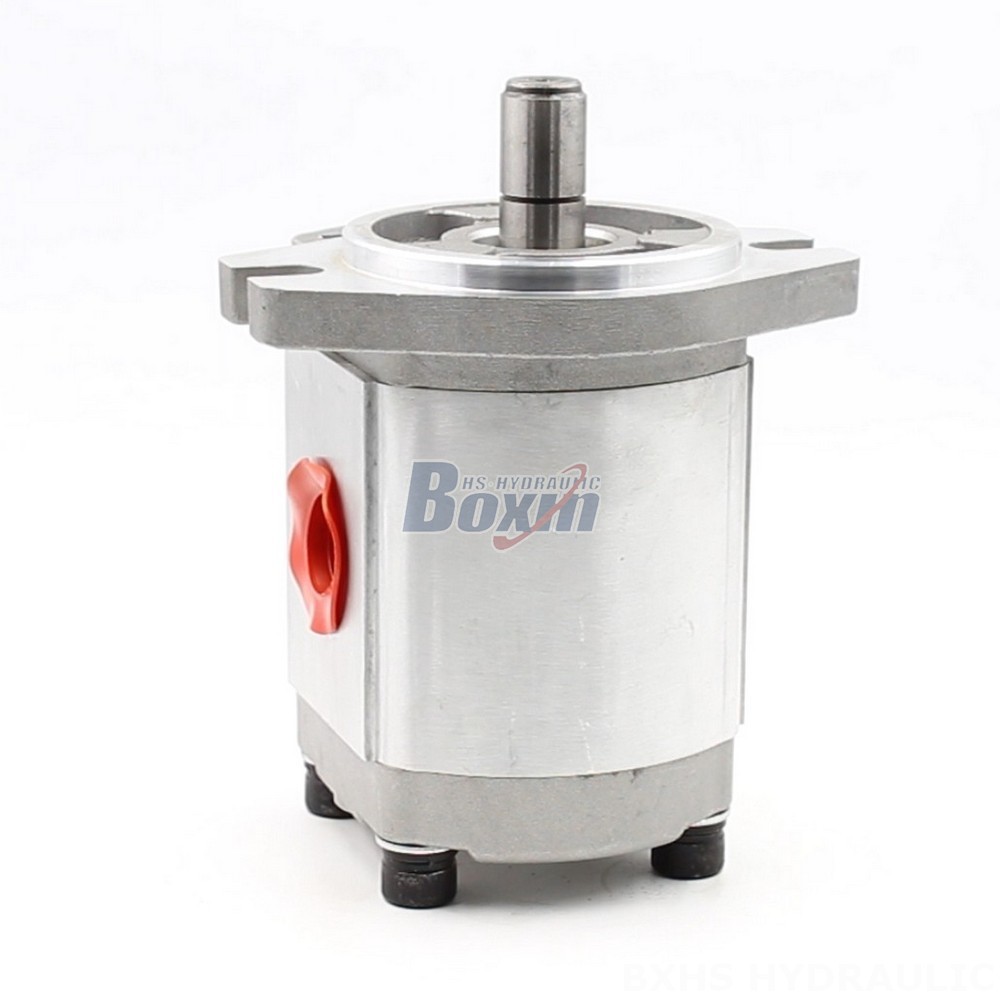 Manufacturer of CBHS-FL304 Hydraulic Gear Pumps: Wholesale & Customization Available main image