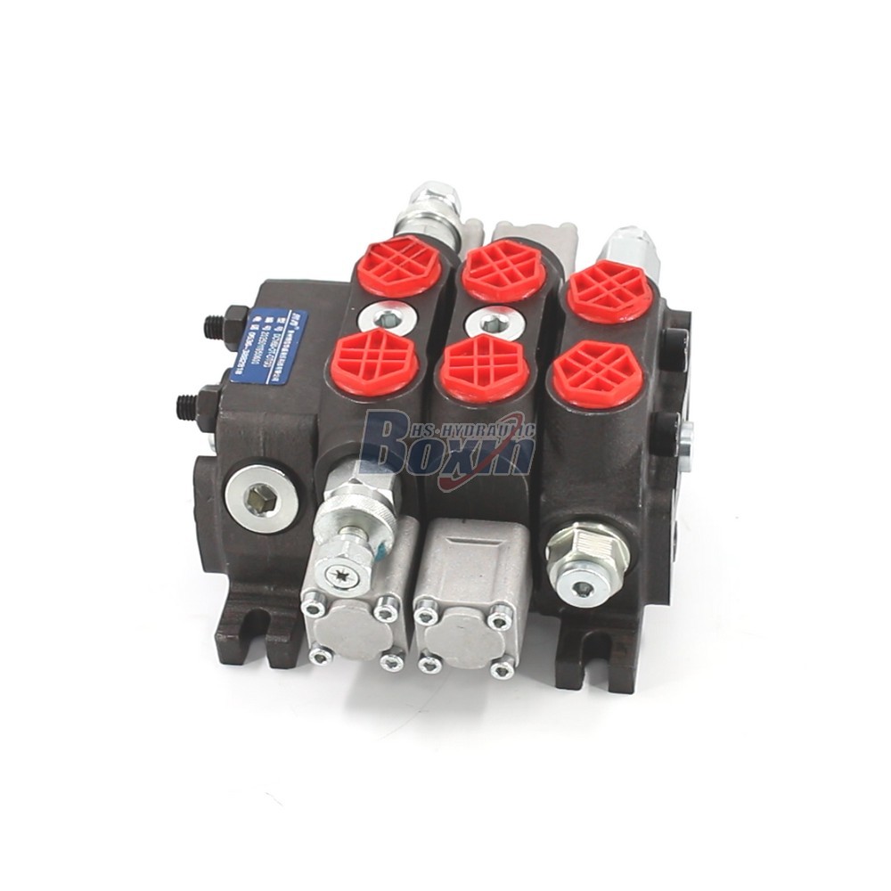 Sectional Control Valve DCV60-FZJ 2 Spool Manual Directional Control Valve main image