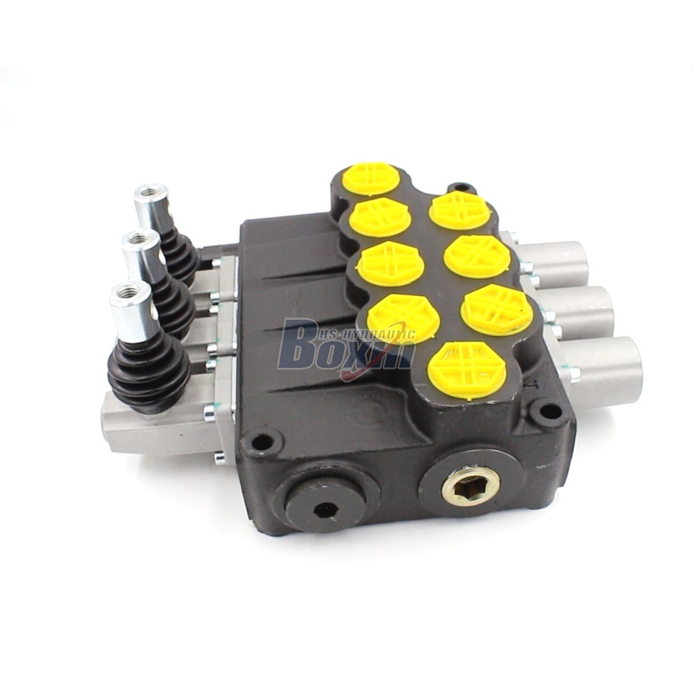 P120-G1-OT Monoblock Valve: Specifications, Features, and Applications cover photo