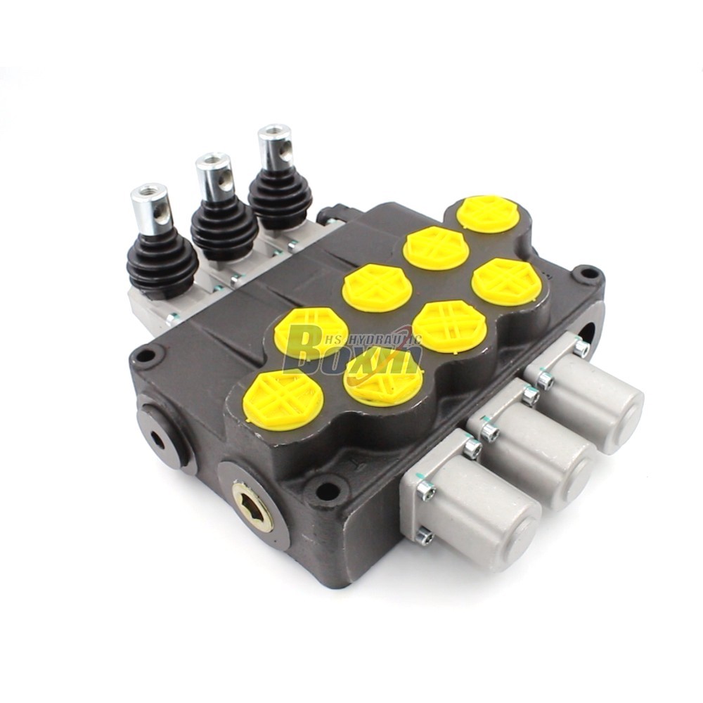 P120-G1-OT Monoblock Valve: Specifications, Features, and Applications main image