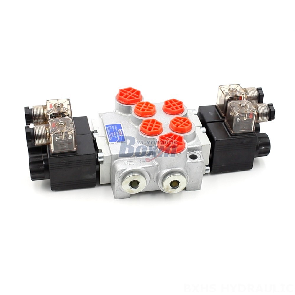 Premium Hydraulic Components: P40-DKL Valve from a Trusted Manufacturer main image