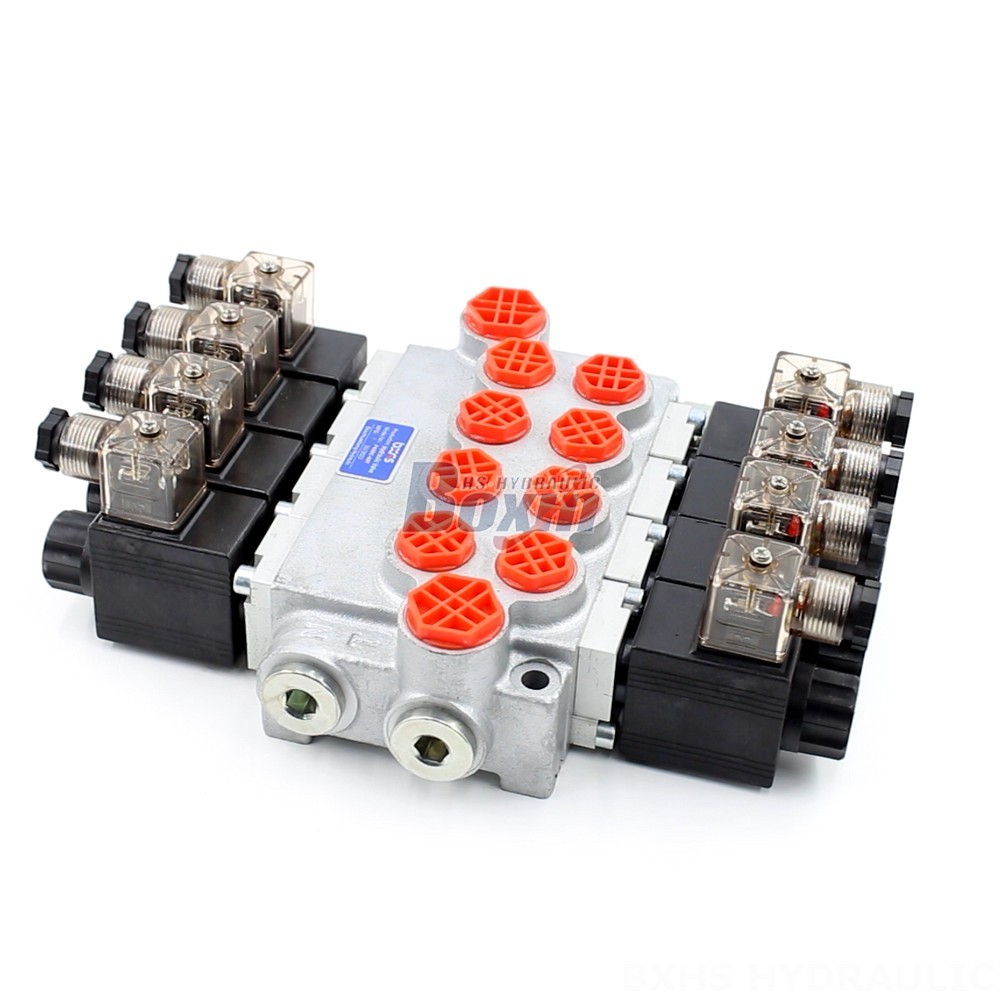 OEM & Private Label Services: Customize P40-DKL Valves to Your Brand main image
